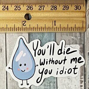 🌀10/$10🌀 Sarcasm Sarcastic Quote Reusable Waterproof Vinyl Sticker Decal